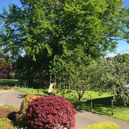 La Maison Du Bonheur Gouvy